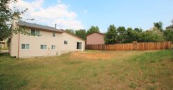 Delightful tri level home in Cheyenne Meadows
