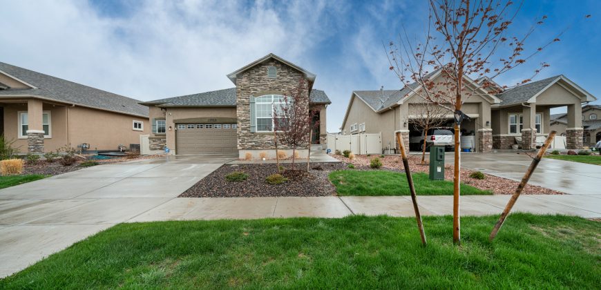 Gorgeous Ranch Home for SALE-Only 3 Years Old in Stonebridge at Meridian Ranch-10023 Mount Princeton 80831 $513,000-SOLD!