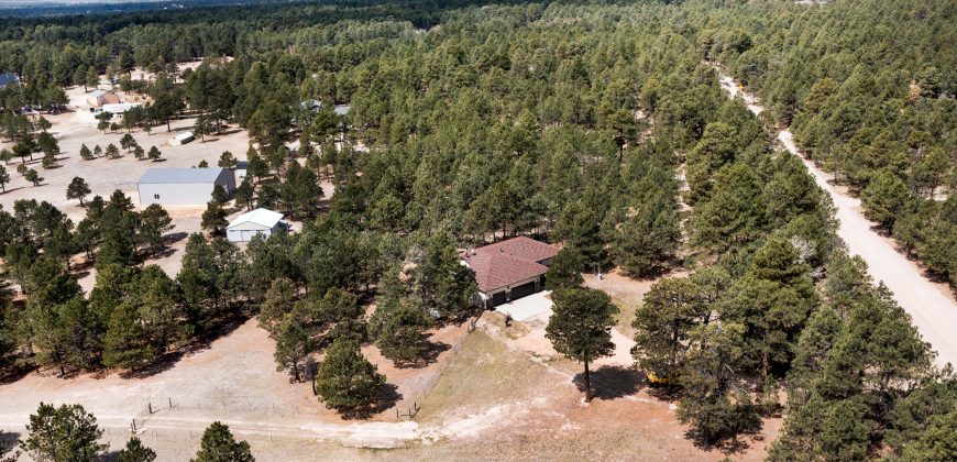 Black Forest/Elbert-Modern Country Home on 5 Acres–$925,000-***SOLD $1MILLION***