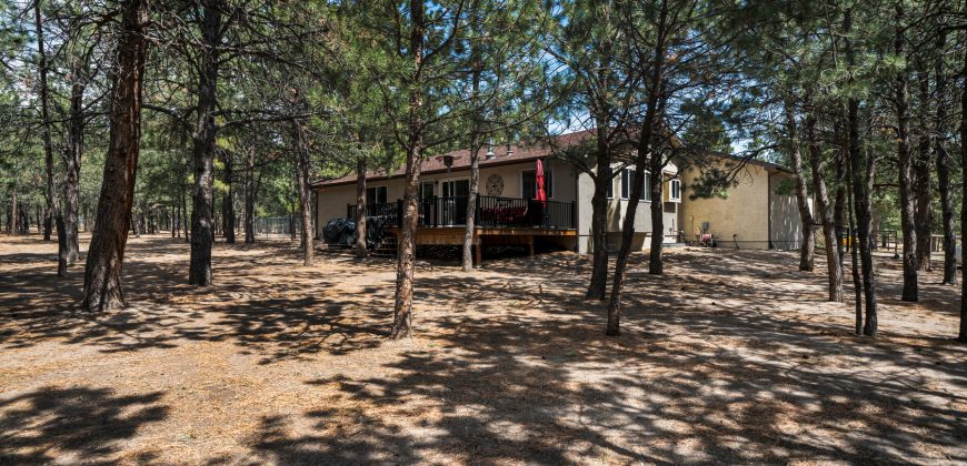 Black Forest/Elbert-Modern Country Home on 5 Acres–$925,000-***SOLD $1MILLION***