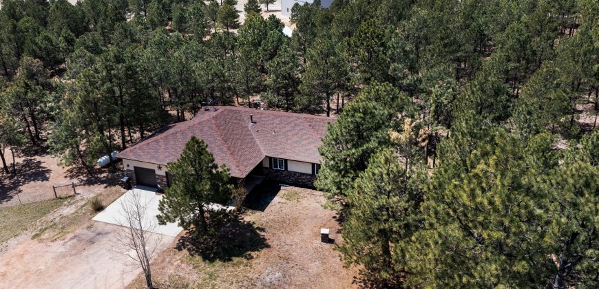 Black Forest/Elbert-Modern Country Home on 5 Acres–$925,000-***SOLD $1MILLION***