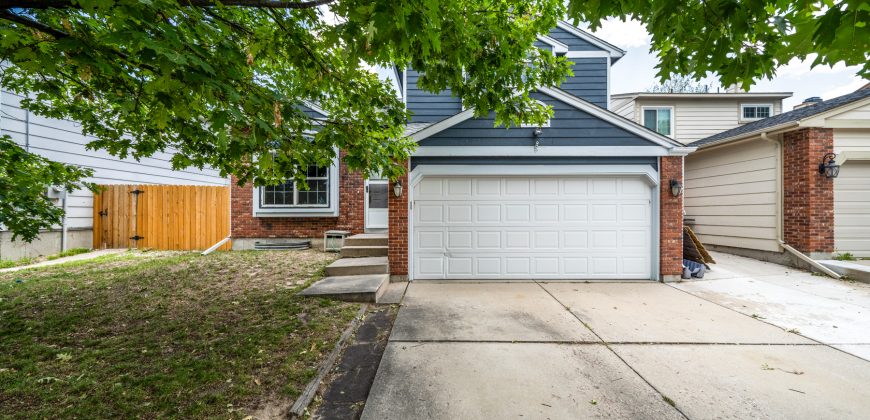 Briargate Beauty for SALE! 8415 Pepperidge Dr. 80920 $425,000