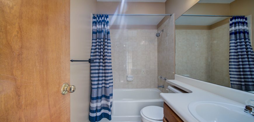 Briargate Beauty for SALE! 8415 Pepperidge Dr. 80920 $425,000
