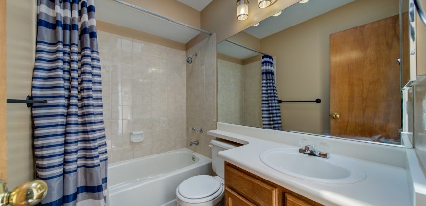 Briargate Beauty for SALE! 8415 Pepperidge Dr. 80920 $425,000