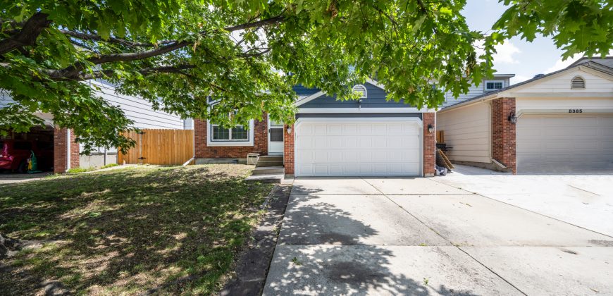 Briargate Beauty for SALE! 8415 Pepperidge Dr. 80920 $425,000