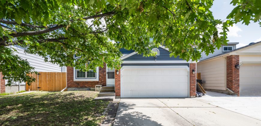 Briargate Beauty for SALE! 8415 Pepperidge Dr. 80920 $425,000