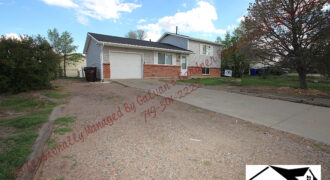 Delightful tri level home in Stratmoor