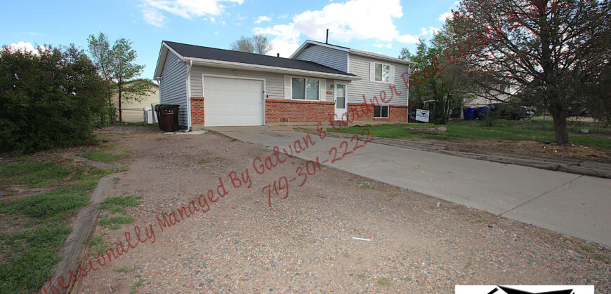 Delightful tri level home in Stratmoor