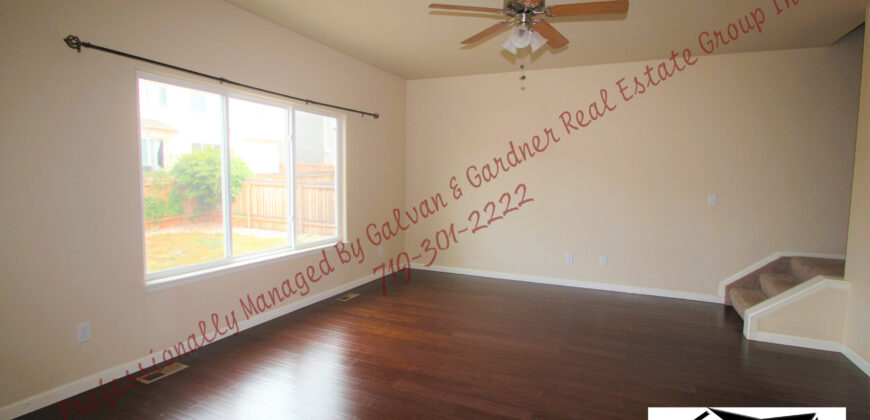 Gorgeous 2 Story home in Painted Sky