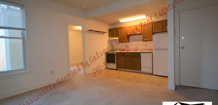 Cozy apartment in Downtown Colorado Springs