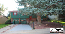 Gorgeous Bi-Level home in the Erindale