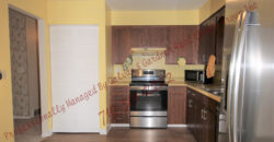 Gorgeous Bi-Level home in the Erindale