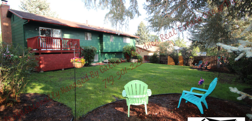 Gorgeous Bi-Level home in the Erindale