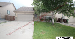 Beautiful Tri Level home in Painted Sky at Waterview