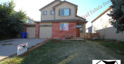 Beautiful two-story home in Heritage