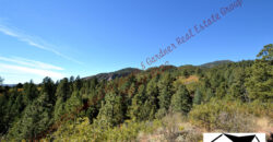 Beautiful ranch home in Rock Creek Mesa on 5 acres of land