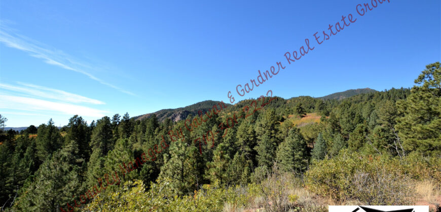 Beautiful ranch home in Rock Creek Mesa on 5 acres of land